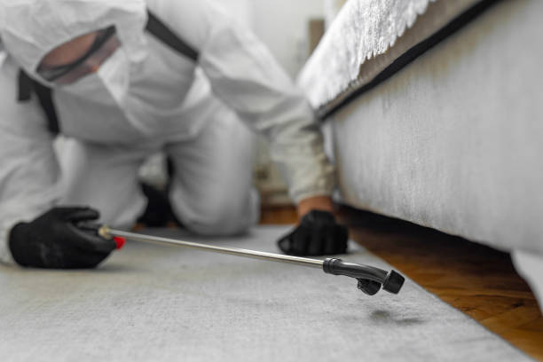 Professional Termite Control technician working in Vancleave, MS