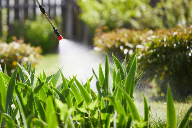 24/7 Emergency Termite Control experts in Vancleave, MS