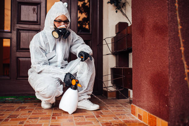 Reliable Termite Control contractor in Vancleave, MS by Nex Pest Control