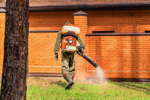 Top rated local Termite Control specialists in Vancleave, MS